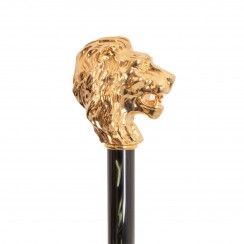 Зонт «Золотой лев» Aureta x Pasotti