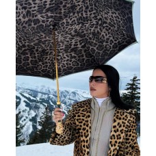 Зонт «Золотой лев» Aureta x Pasotti