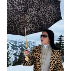Зонт «Золотой лев» Aureta x Pasotti