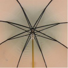 Зонт «Золотой лев»