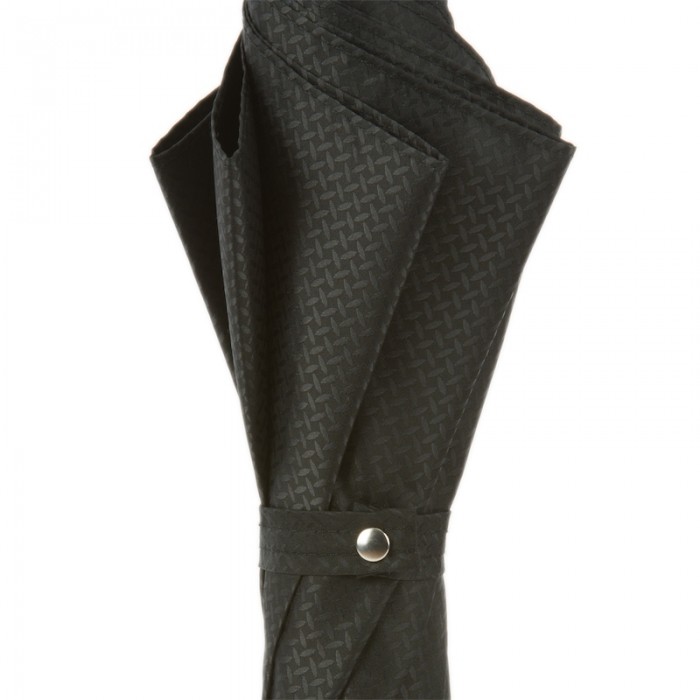 Зонт Pasotti «Серебряный лев»