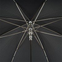 Зонт «Серебряный лев»