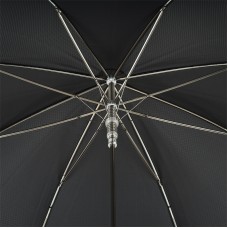 Парасолька «Срібний лев»