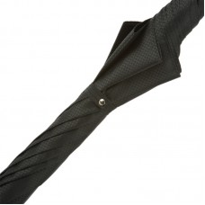 Парасолька «Срібний лев»