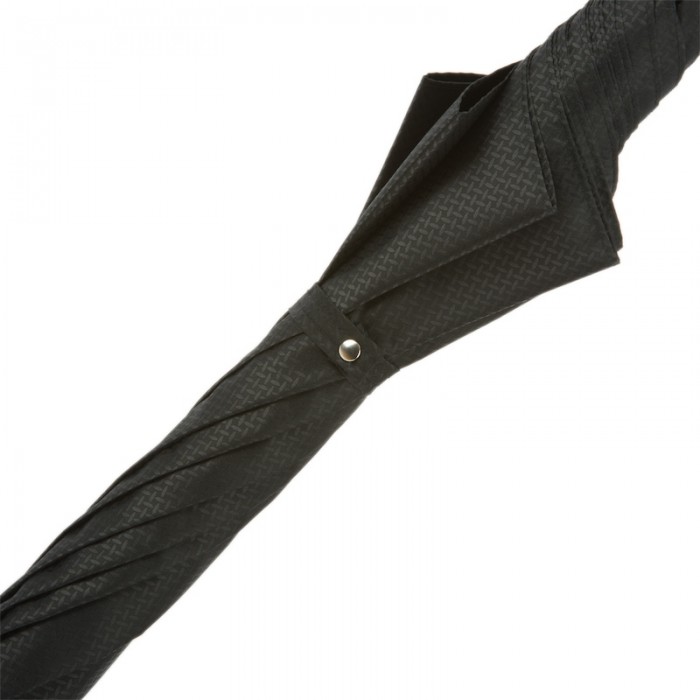 Зонт Pasotti «Серебряный лев»