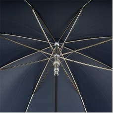 Зонт «Серебряный орел» синий