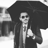 Зонт складной «Серебряный тигр»