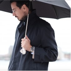 Зонт складной «Серебряный лев»